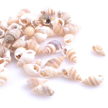 19-25mm Természetes Spirál Sea Shell Kagyló Laza Gyöngy Ékszerek Készítése DIY 100 TRS0126