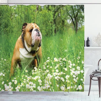 Angol Bulldog Mező zuhanyfüggöny Állítsa be, Hogy a Tavasz Szórakoztató Függöny Fürdőszoba Decor 12 Horgok Dekoratív Fürdő Tartozék