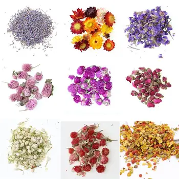 Szárított Virág, Száraz Növények Aromaterápiás Gyertya Epoxi Gyanta Medál Nyaklánc Ékszer Készítés Kézműves DIY Tartozékok