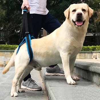 Új Állítható Kutya Lift Öv A Hátsó Lábai Támogatás Parittya Segíteni Gyenge A Lába Állni Kedvtelésből Tartott Kutyák Támogatás, Segítő Eszköz